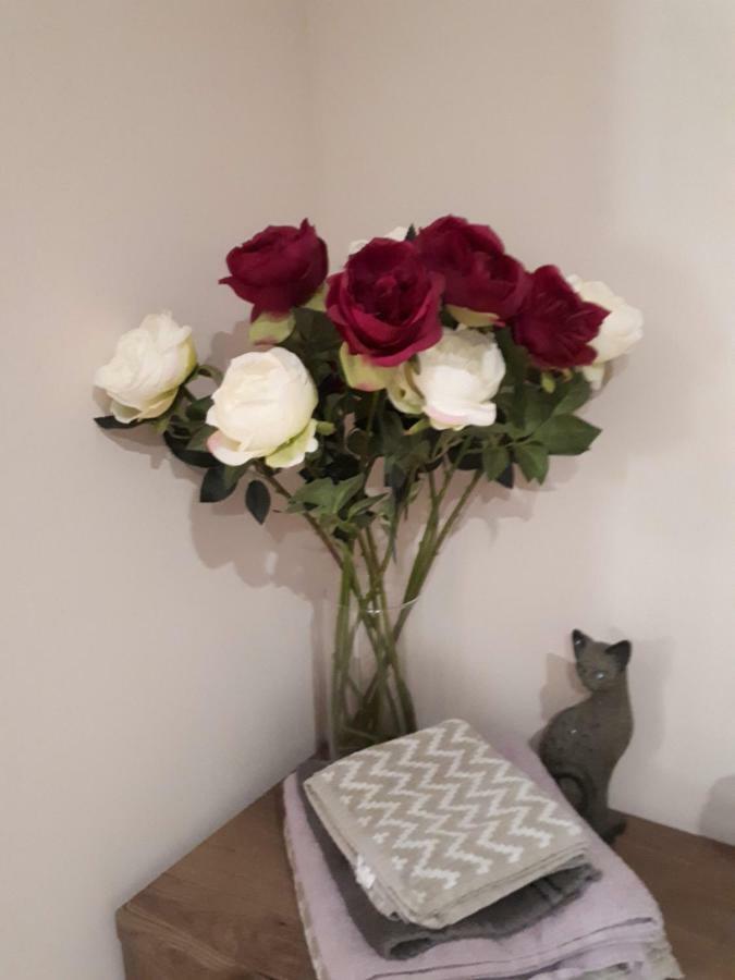 Cozy Apartment Near The Sea Tallinn Luaran gambar